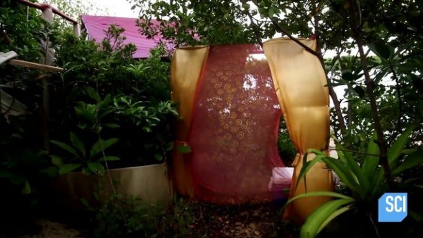 Foto - 150 bin pet şişe kullanarak yüzen ada yaptı