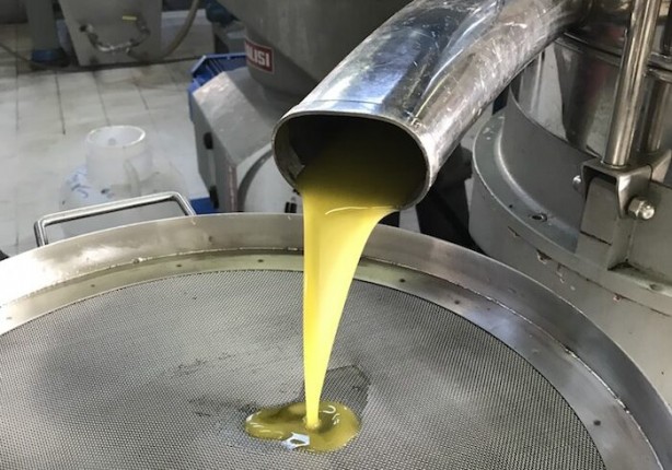 Foto - 1500 lirayı geçen zeytinyağı fiyatları hala düşmedi! İhracatçıların itirafı tüm Türkiye'yi isyan ettirdi