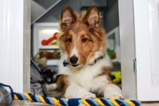 Foto - 1500 TL'ye öyle bir ev yaptı ki...