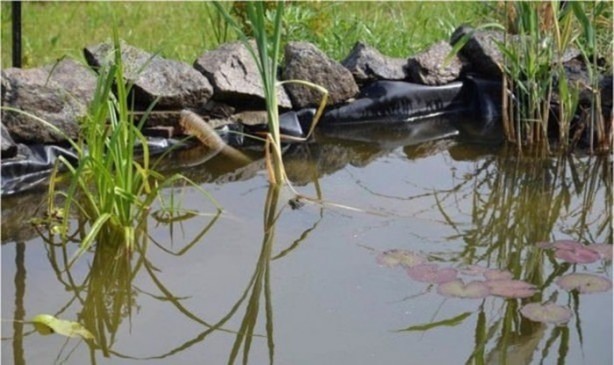 Foto - 1500 TL'ye öyle bir ev yaptı ki...