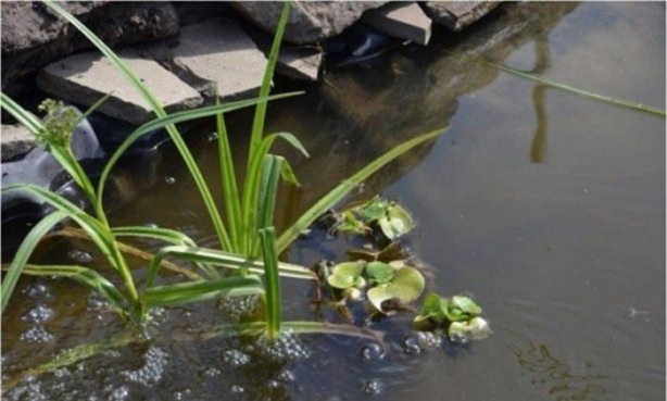 Foto - 1500 TL'ye öyle bir ev yaptı ki...