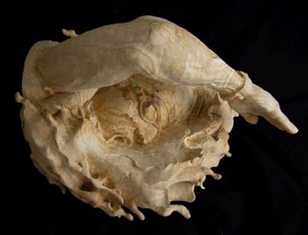 Foto - 1500 TL'ye öyle bir ev yaptı ki...