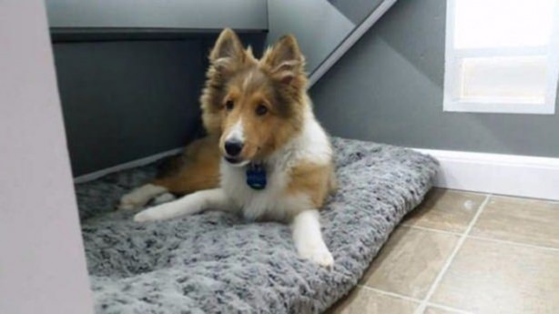 Foto - 1500 TL'ye öyle bir ev yaptı ki...