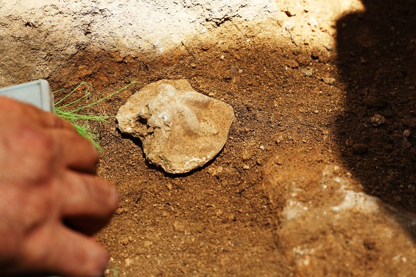 Foto - 1500 yıllık! Kazının ilk gününde bulundu