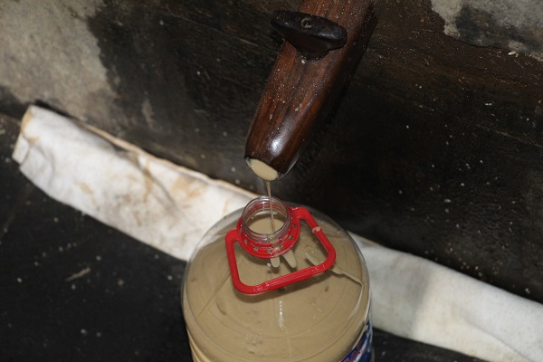 Foto - 155 değirmende tahinin zorlu yolcuğu