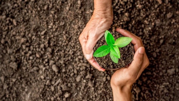 Foto - 16 bin fidanı toprakla buluşturuyor! Atılan bu adım gönüllere dokunuyor!