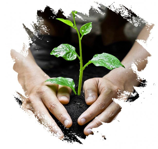 Foto - 16 bin fidanı toprakla buluşturuyor! Atılan bu adım gönüllere dokunuyor!