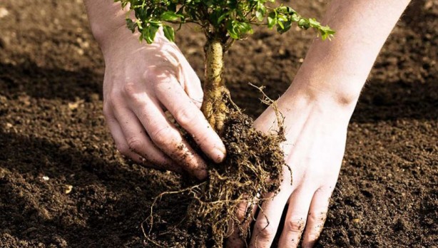 Foto - 16 bin fidanı toprakla buluşturuyor! Atılan bu adım gönüllere dokunuyor!