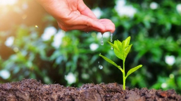 16 bin fidanı toprakla buluşturuyor! Atılan bu adım gönüllere dokunuyor!
