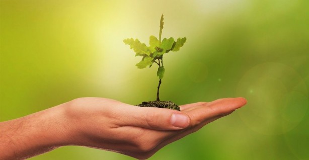 Foto - 16 bin fidanı toprakla buluşturuyor! Atılan bu adım gönüllere dokunuyor!