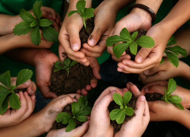 Foto - 16 bin fidanı toprakla buluşturuyor! Atılan bu adım gönüllere dokunuyor!