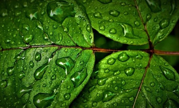 Foto - 16 il için 'sarı' kodlu uyarı yapıldı