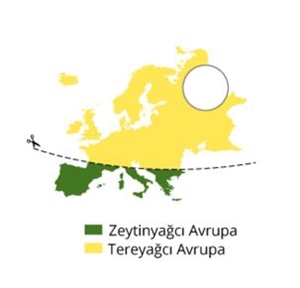 Foto - 16 maddede Avrupa nasıl bölünür?