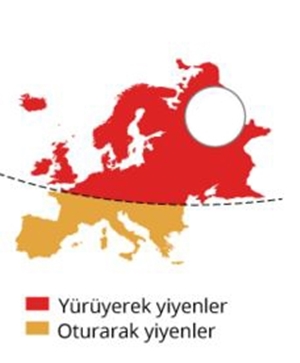 Foto - 16 maddede Avrupa nasıl bölünür?