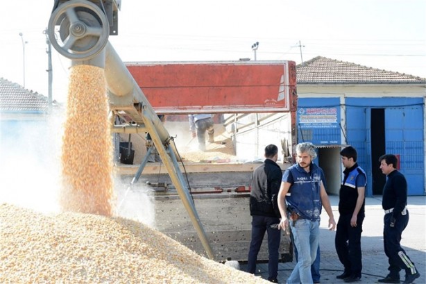 16 ton mısırın içinden çıkanlar hayrete düşürdü!