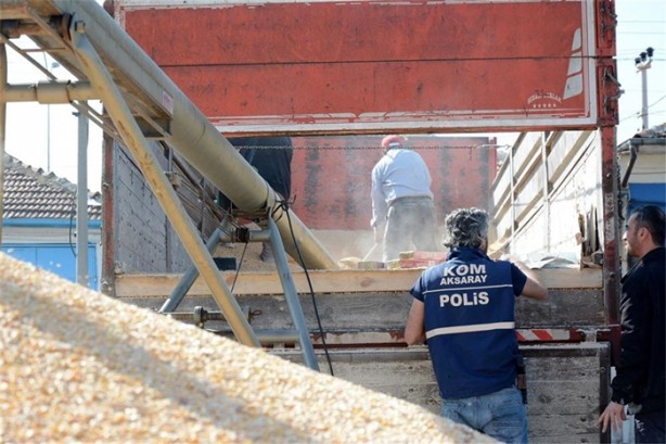 Foto - 16 ton mısırın içinden çıkanlar hayrete düşürdü!