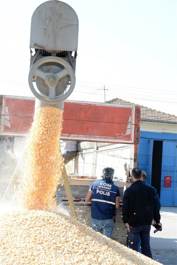 Foto - 16 ton mısırın içinden çıkanlar hayrete düşürdü!
