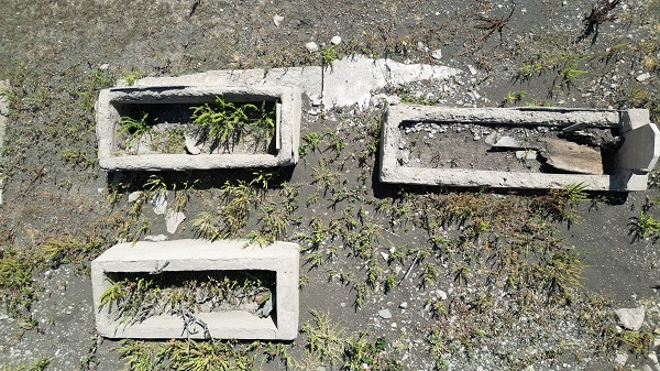 Foto - 16 yıl sonra görüldü! Sular çekilince bakın ortaya ne çıktı