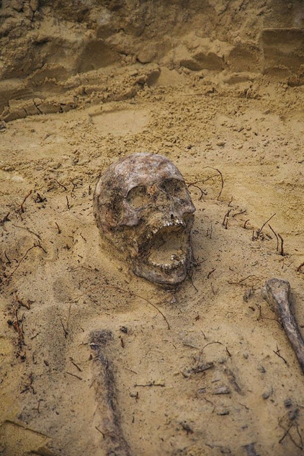 Foto - 16. yüzyıldan kalma toplu mezar bulundu! Bütün çocuk cesetlerinin ağzından aynı şey çıktı