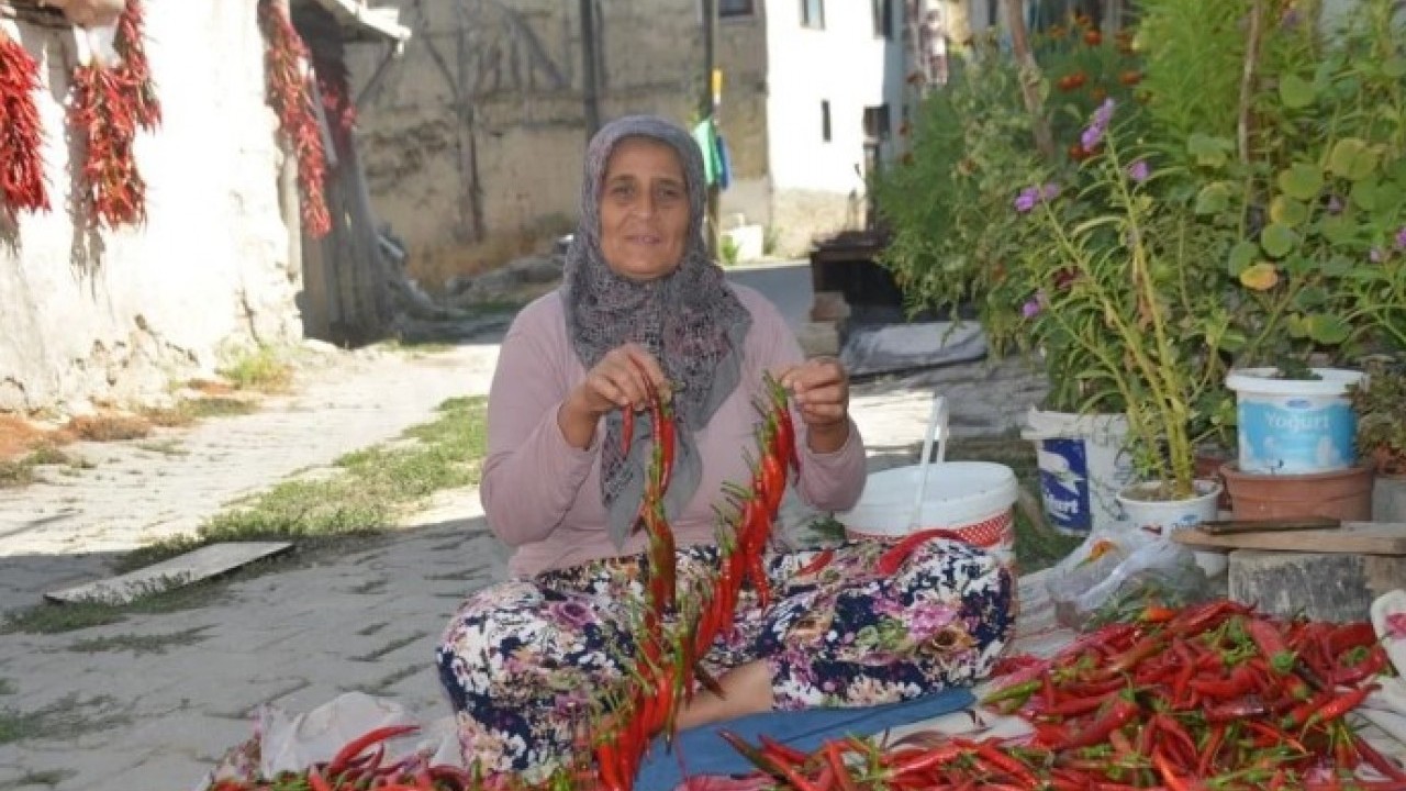 1600 yıllık gelenek! 'Kırmızı altın' böyle üretiliyor