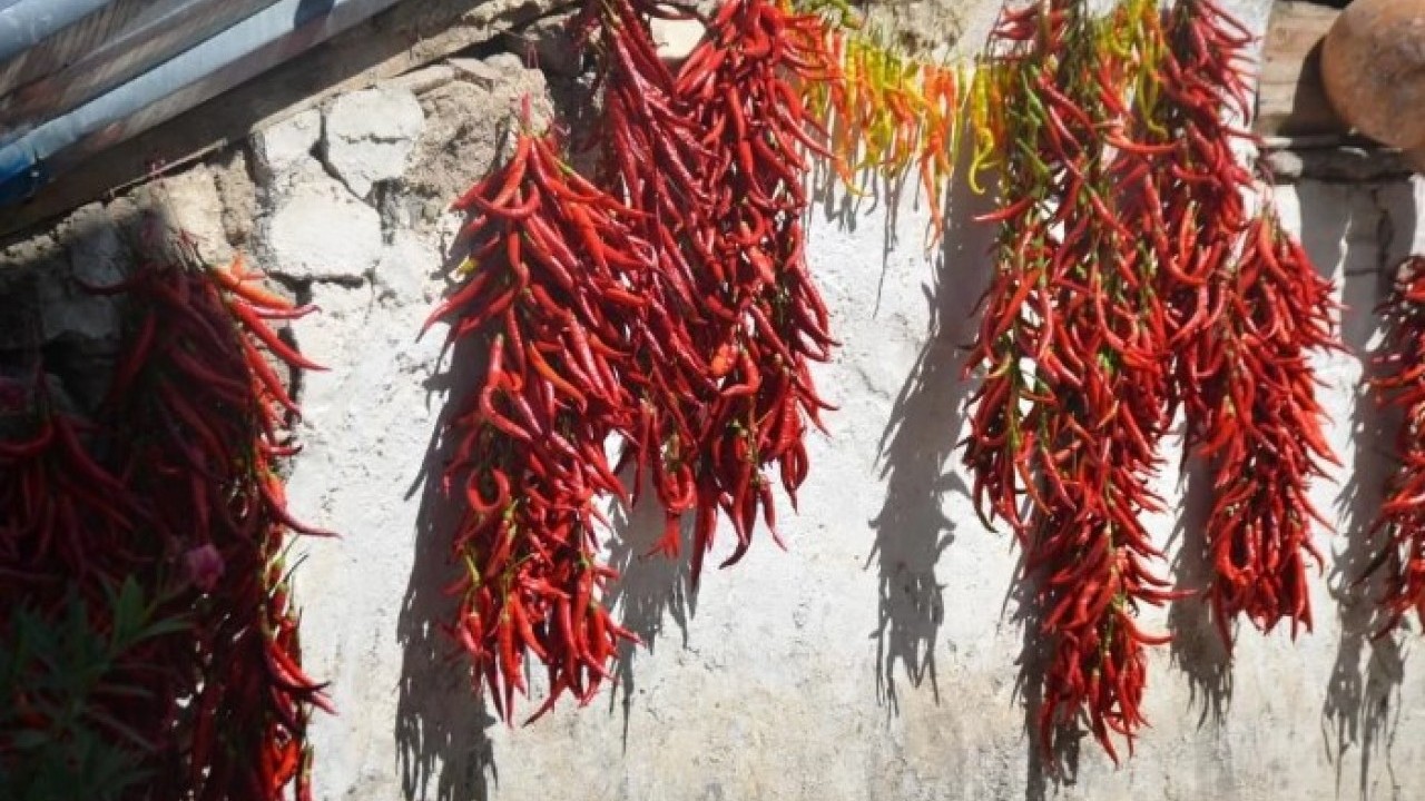 Foto - 1600 yıllık gelenek! 'Kırmızı altın' böyle üretiliyor