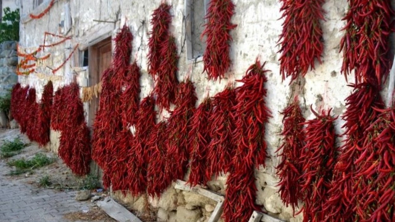 Foto - 1600 yıllık gelenek! 'Kırmızı altın' böyle üretiliyor