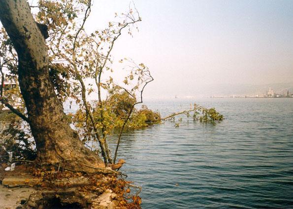 Foto - 17 Ağustos 1999 Gölcük Depremi