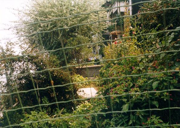 Foto - 17 Ağustos 1999 Gölcük Depremi