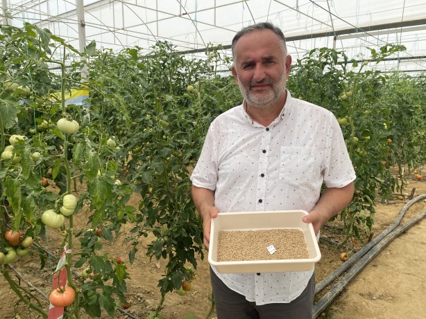 Foto - 17 ülkeye ihraç ediyor! Tam 10 kat daha fazla kazandıran formül