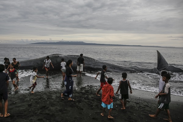 Foto - 18 metrelik balina karaya vurdu