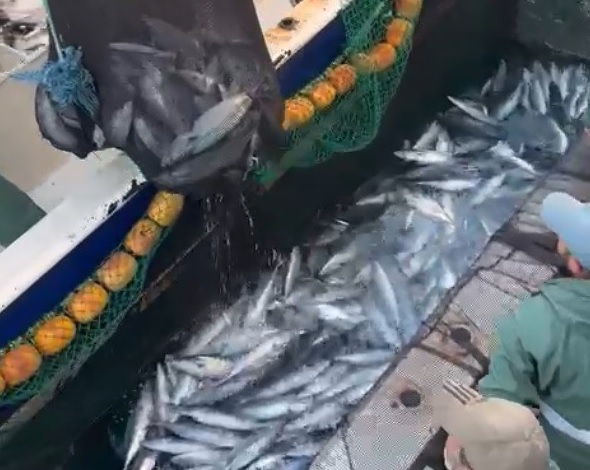 18 ton yakaladı kasası bin TL!