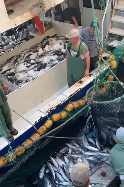 Foto - 18 ton yakaladı kasası bin TL!