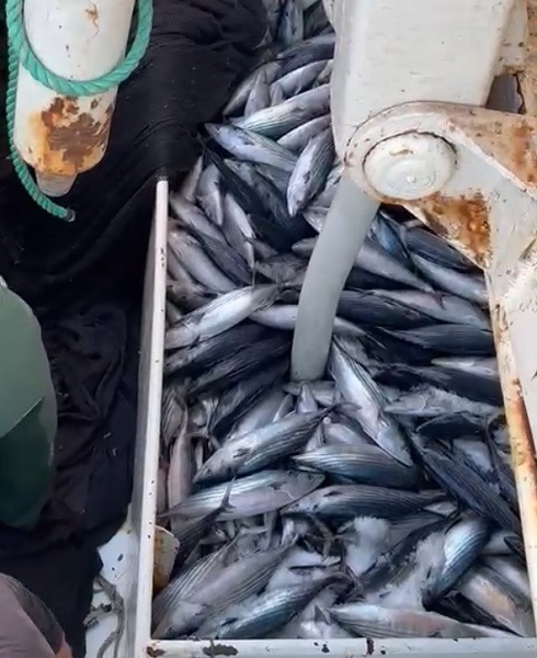 Foto - 18 ton yakaladı kasası bin TL!