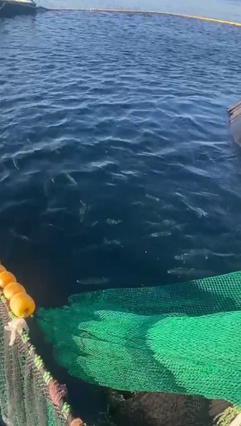 Foto - 18 ton yakaladı kasası bin TL!