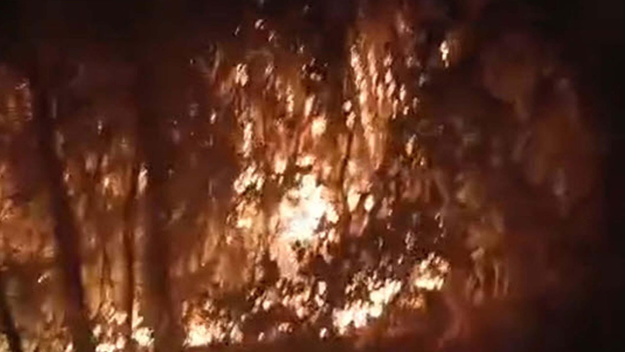 Foto - 18’er yıl hapis istemi! Define ararken ormanı yaktılar