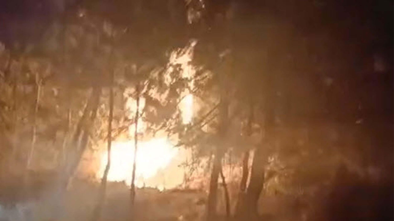 Foto - 18’er yıl hapis istemi! Define ararken ormanı yaktılar