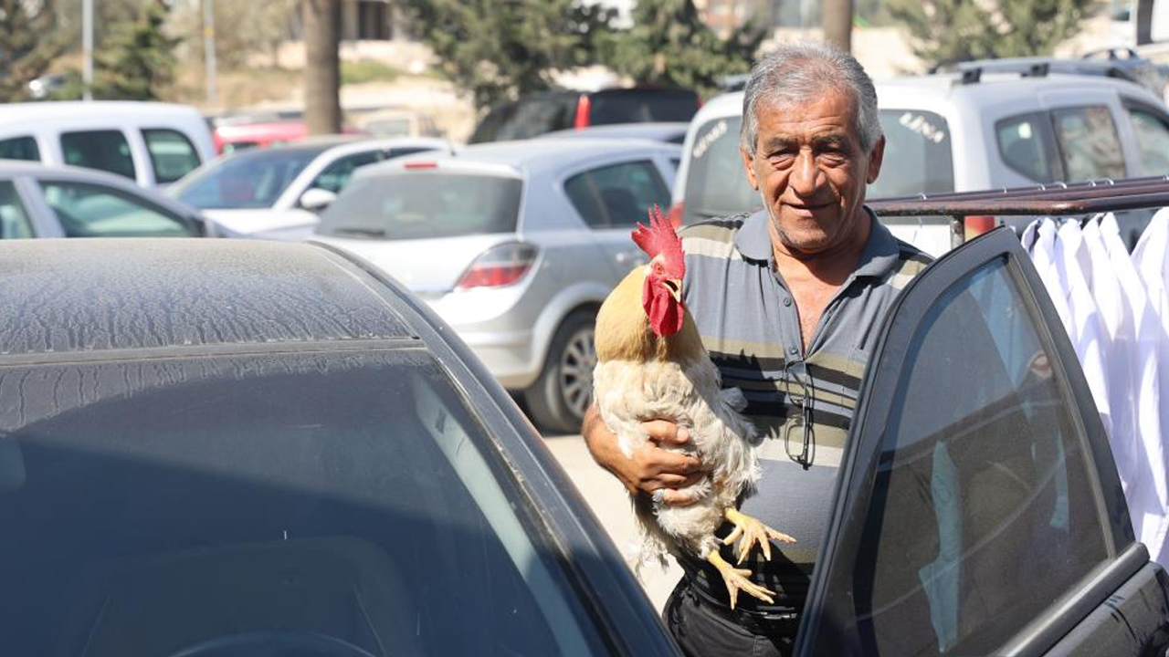 Foto - 19 aydır beslediği horozu şehir turuna çıkardı
