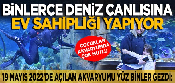 19 mayıs 2022’de açılan akvaryumu yüz binler gezdi: Binlerce deniz canlısına ev sahipliği yapıyor... Çocuklar akvaryumda çok mutlu