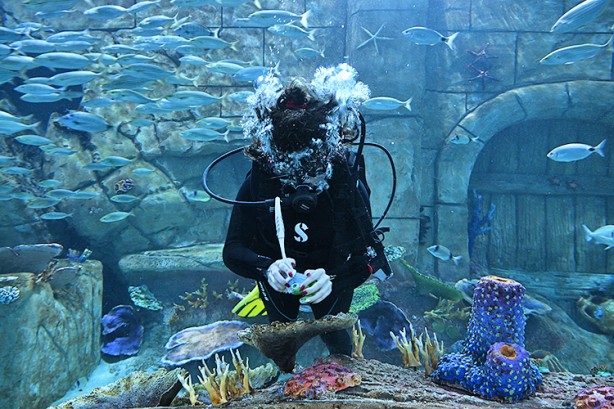 Foto - 19 mayıs 2022’de açılan akvaryumu yüz binler gezdi: Binlerce deniz canlısına ev sahipliği yapıyor... Çocuklar akvaryumda çok mutlu