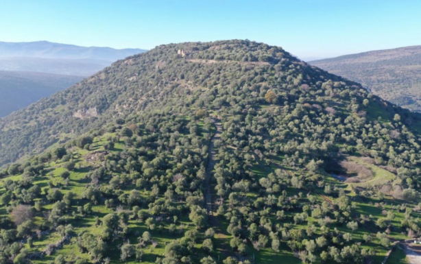 Foto - 1900 yıllık tarihe sahip! Ormanın ortasında kazıldıkça ortaya çıktı