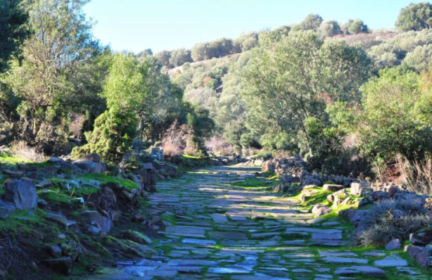 Foto - 1900 yıllık tarihe sahip! Ormanın ortasında kazıldıkça ortaya çıktı
