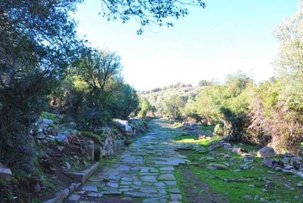 Foto - 1900 yıllık tarihe sahip! Ormanın ortasında kazıldıkça ortaya çıktı