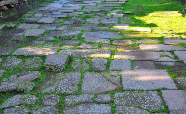 1900 yıllık tarihe sahip! Ormanın ortasında kazıldıkça ortaya çıktı