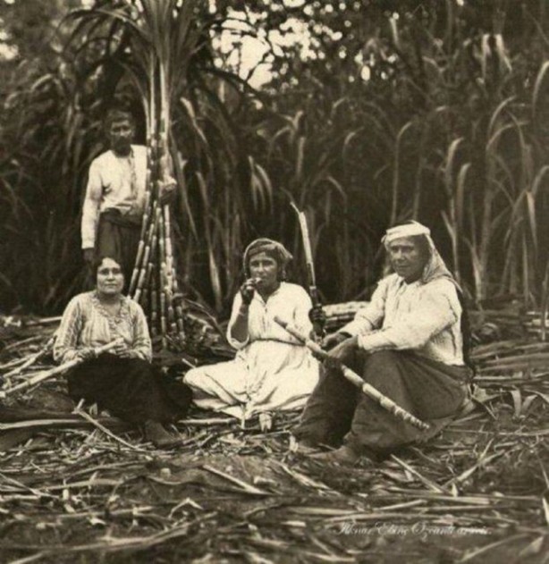 Foto - 1900'lü yılların İstanbul'u