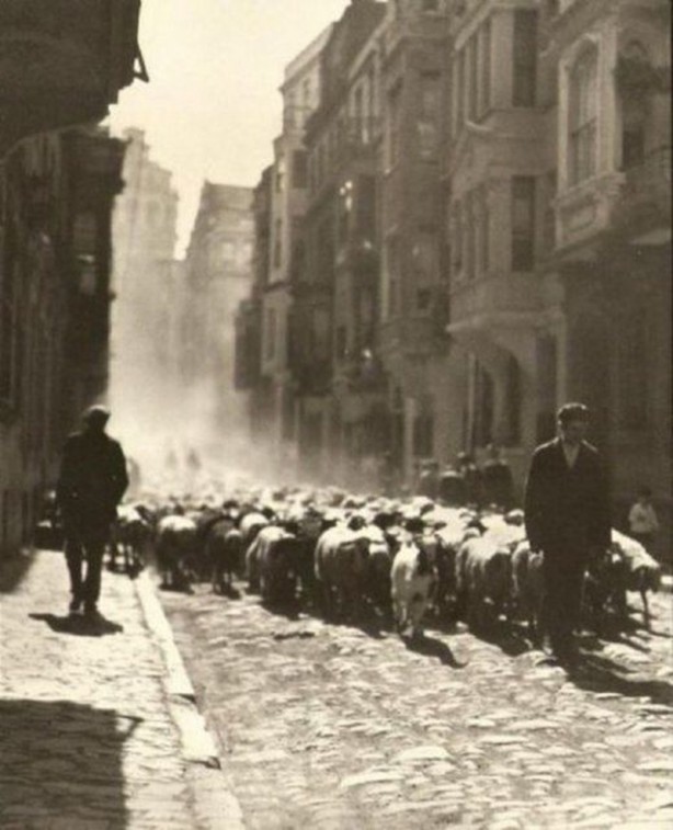 Foto - 1900'lü yılların İstanbul'u
