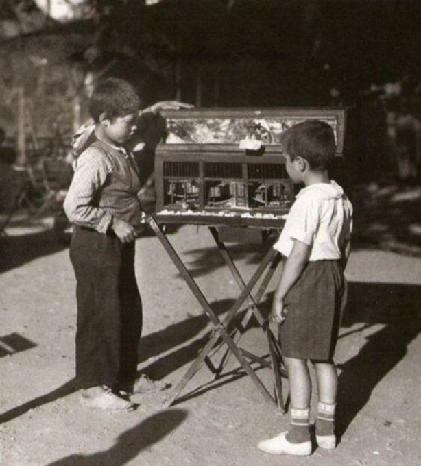 Foto - 1900'lü yılların İstanbul'u
