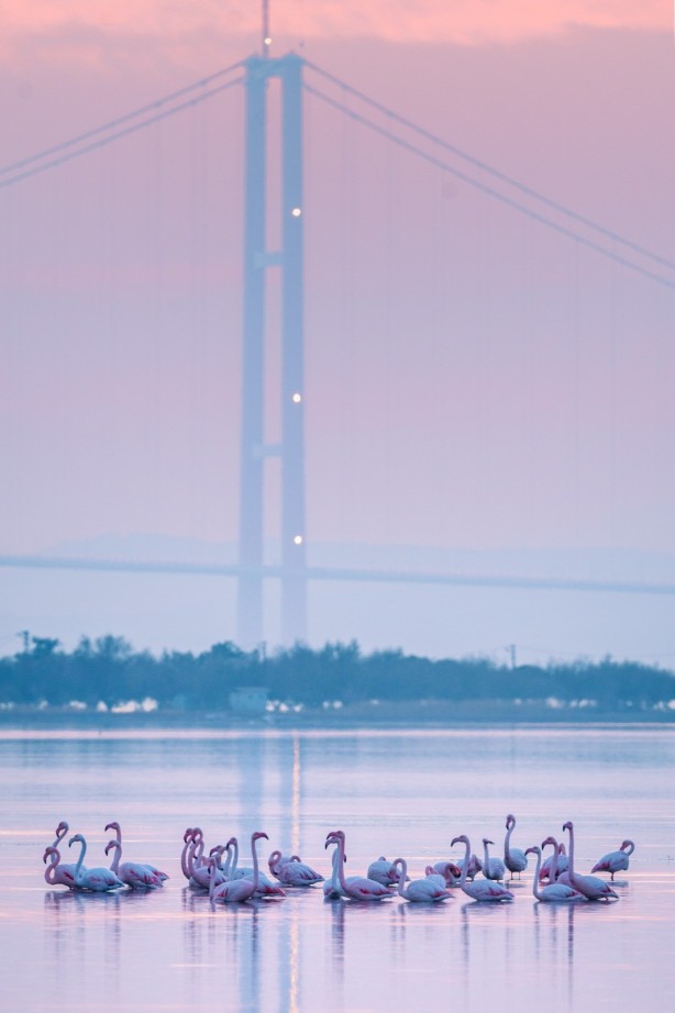 Foto - 1915 Çanakkale Köprüsü'nde müthiş görüntüler