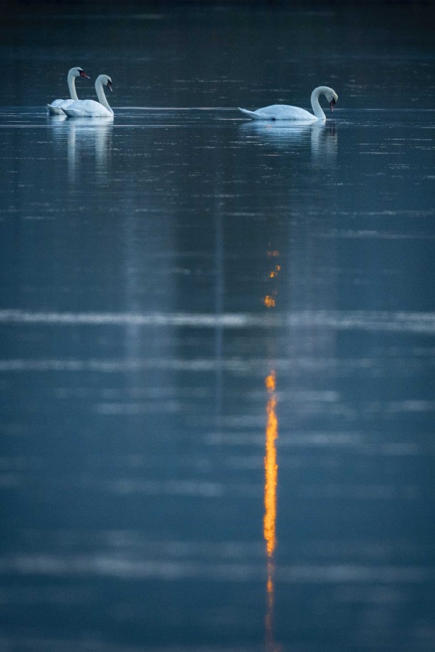 Foto - 1915 Çanakkale Köprüsü'nde müthiş görüntüler