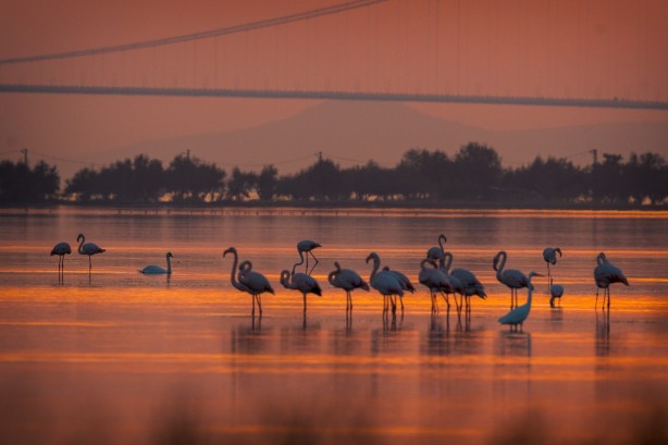 Foto - 1915 Çanakkale Köprüsü'nde müthiş görüntüler