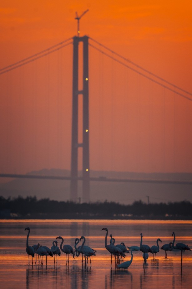Foto - 1915 Çanakkale Köprüsü'nde müthiş görüntüler